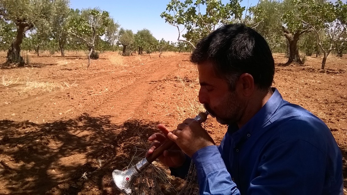 BARAK HAVALARI VE TÜRKÜLERİ